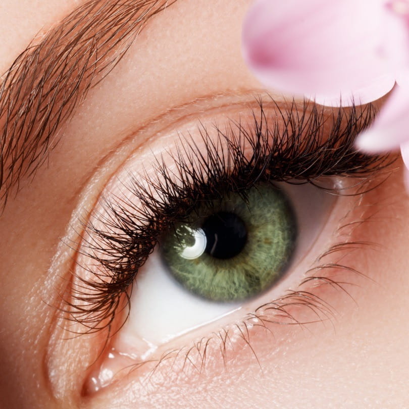 AUNA Pure Castor Oil with Brush /Eyebrow and Eyelash Conditioner |10ml (slightly damaged box)