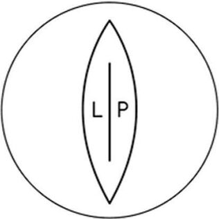 LIP Organic Intimate Care Lip Balm Macadamia + Oat | 50ml