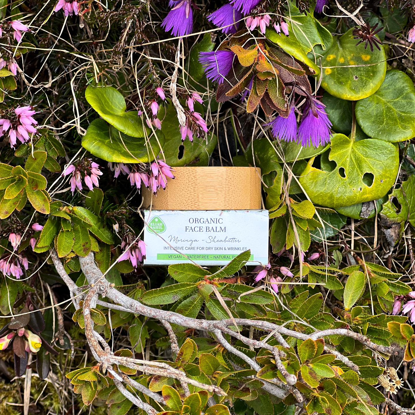 ELIAH SAHIL Organic Face Balm Moringa-Sheabutter | 15ml