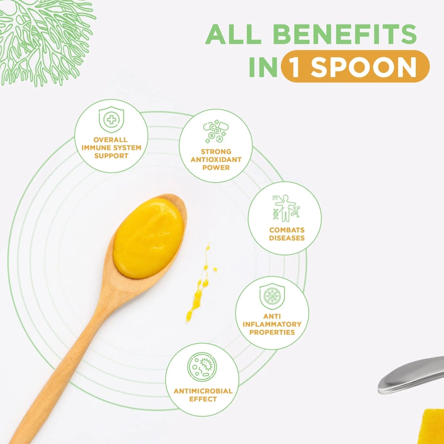 TRUE SEA MOSS Strawberry Sea Moss Gel | 453g