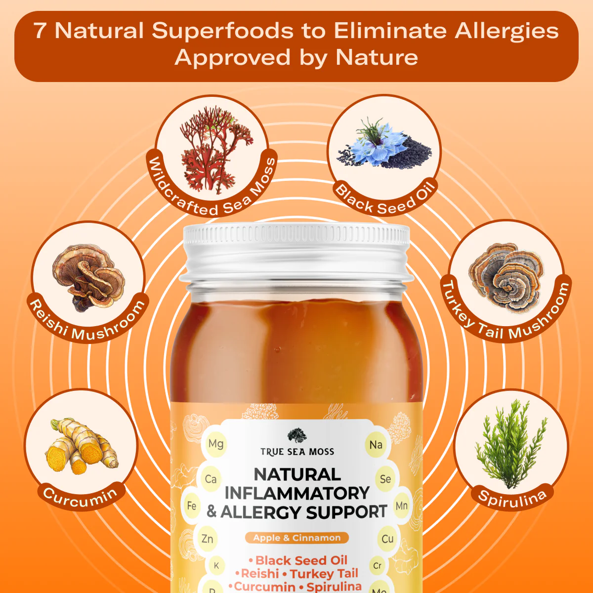TRUE SEA MOSS Natural Inflamatory & Allergy Support Sea Moss Gel | 453g