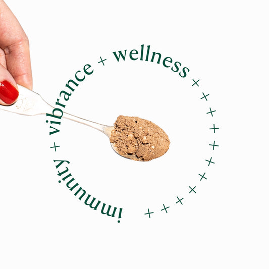 SOULEL Organic Creamer - A Functional Coffee Topper with Adaptogens | 200g | 30 servings