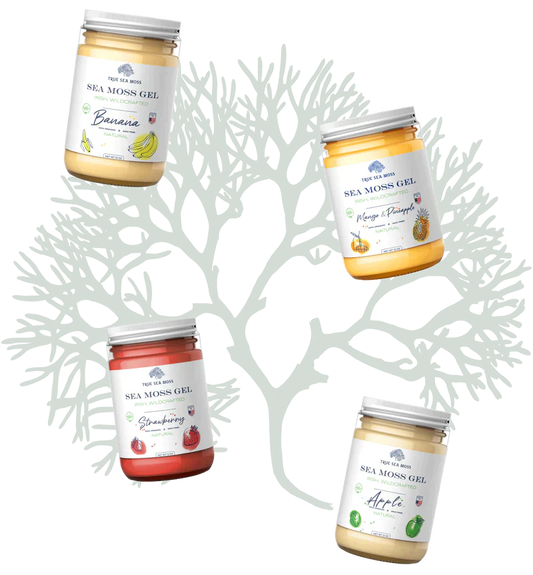TRUE SEA MOSS Apple and Cinnamon Sea Moss Gel | 453g