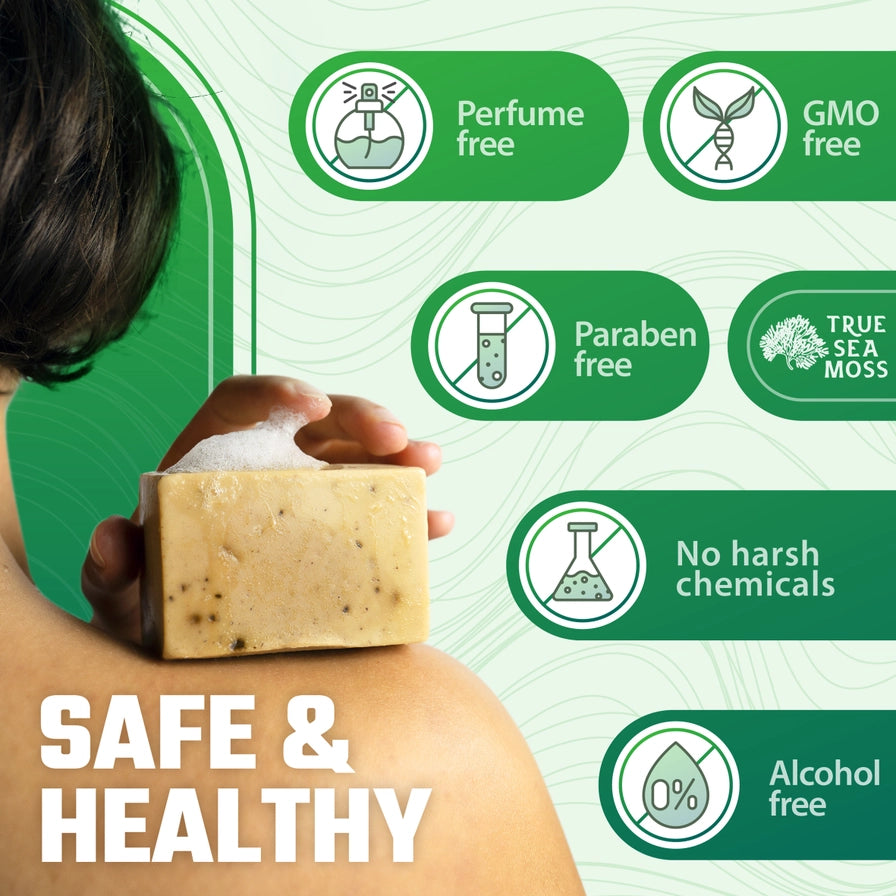 TRUE SEA MOSS Soap Bars Green Tea Matcha and Coffee Vanilla Coconut | 2 Pack