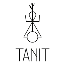 TANIT Mint Charcoal Toothpaste Tablets - Reusable Jar - 124 Tabs | 2 Months Supply