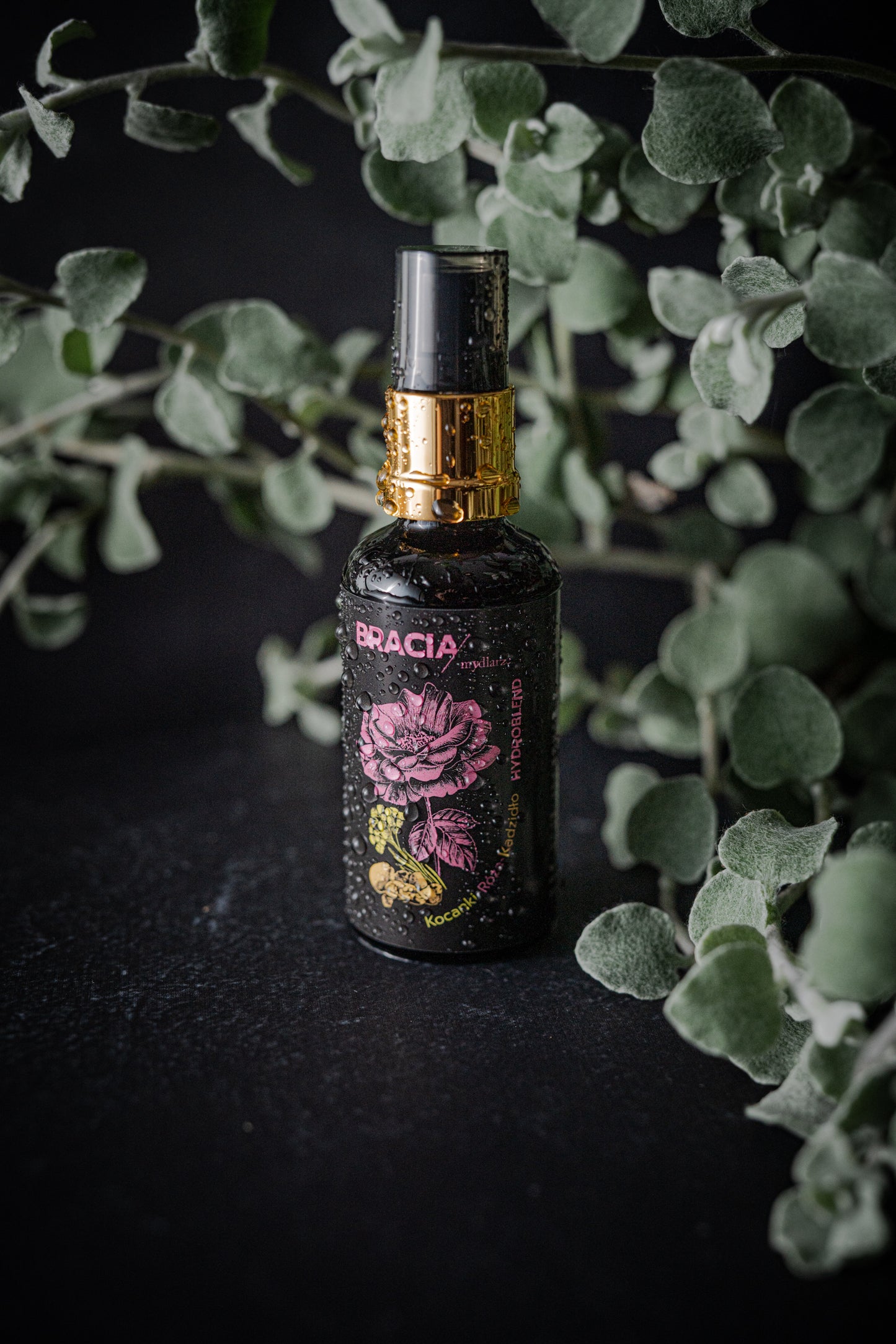 BRACIA MYDLARZE Imortelle- Damask Rose-Indian Frankincense Hydrolate | 50ml