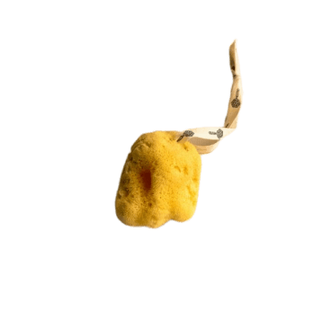 NESTED Fina Silk Sponge - Face