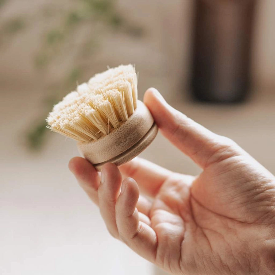 JUNGLE CULTURE Replacement Head For Reusable Dish Brush | Bamboo Brushes | Firm Bristle