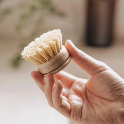 JUNGLE CULTURE Replacement Head For Reusable Dish Brush | Bamboo Brushes | Firm Bristle