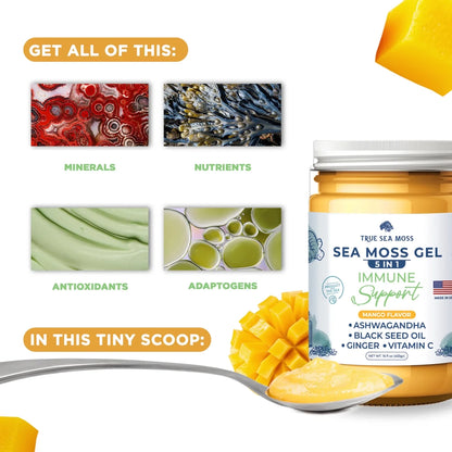 TRUE SEA MOSS Strawberry Sea Moss Gel  | 453g