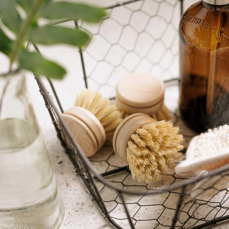JUNGLE CULTURE Replacement Head For Reusable Dish Brush | Bamboo Brushes | Firm Bristle