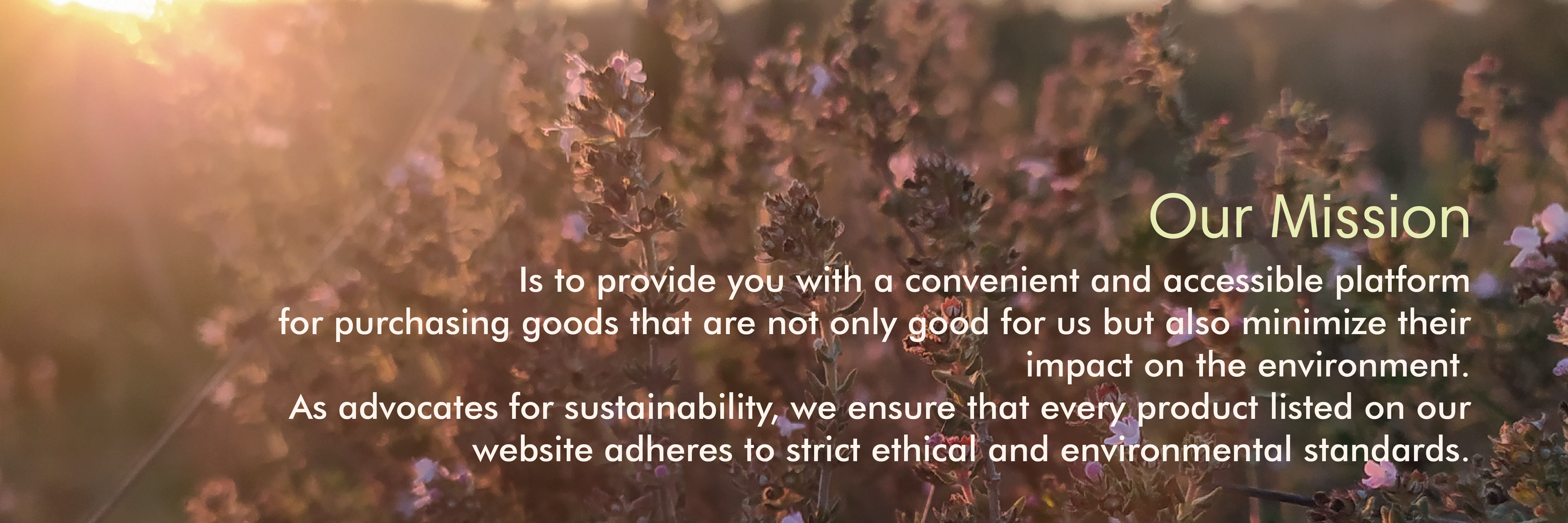 Our mission is to provide you with a convenient and accessible platform  for purchasing goods that are not only good for us but also minimize their impact on the environment. As advocates for sustainability, we ensure that every product listed on our website adheres to strict ethical and environmental standards.