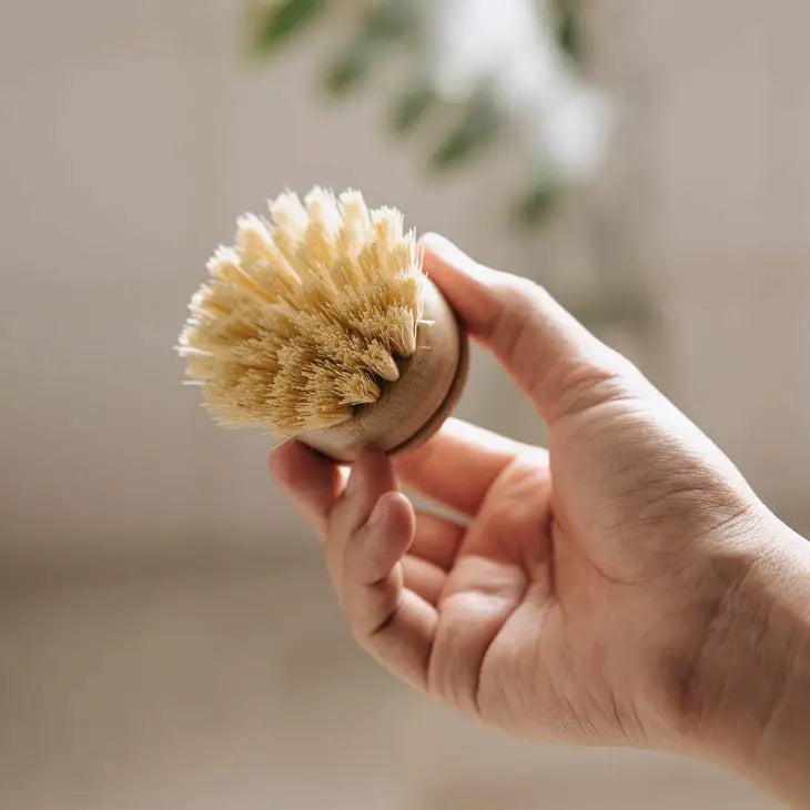 JUNGLE CULTURE Replacement Head For Reusable Dish Brush | Bamboo Brushes | Firm Bristle