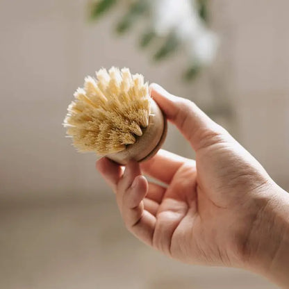 JUNGLE CULTURE Replacement Head For Reusable Dish Brush | Bamboo Brushes | Firm Bristle