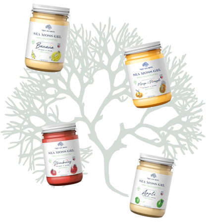 TRUE SEA MOSS Mango and Pineapple Sea Moss Gel  | 453g