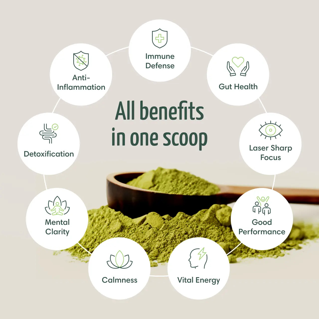 TRUE SEA MOSS Green Powder & Sea Moss 8 in 1 Powerful Blend | 30 servings