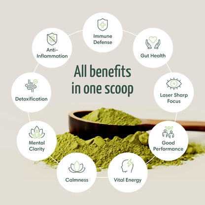 TRUE SEA MOSS Green Powder & Sea Moss 8 in 1 Powerful Blend | 30 servings