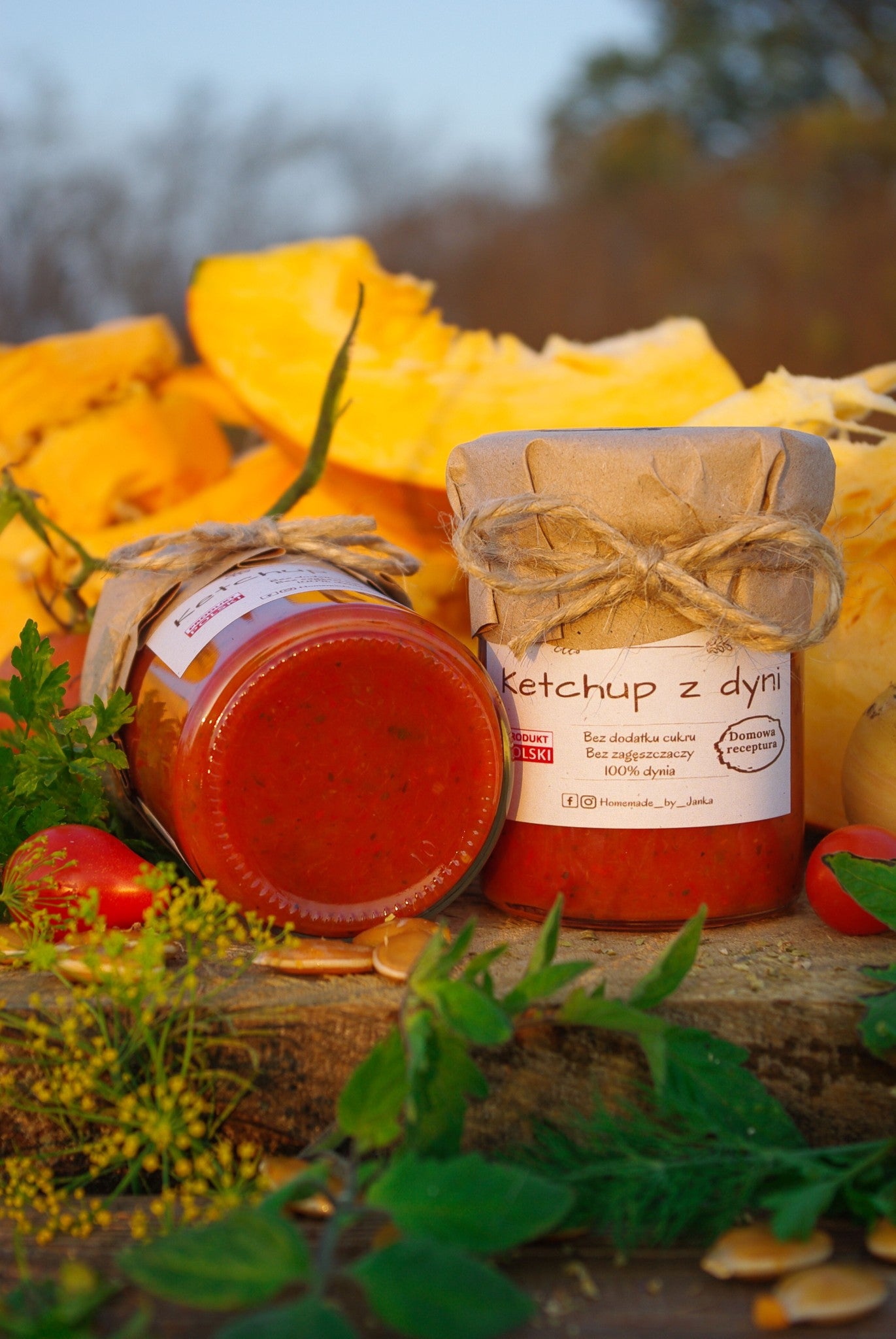 HOMEMADE BY JANKA   Pumpkin Ketchup  | 220g