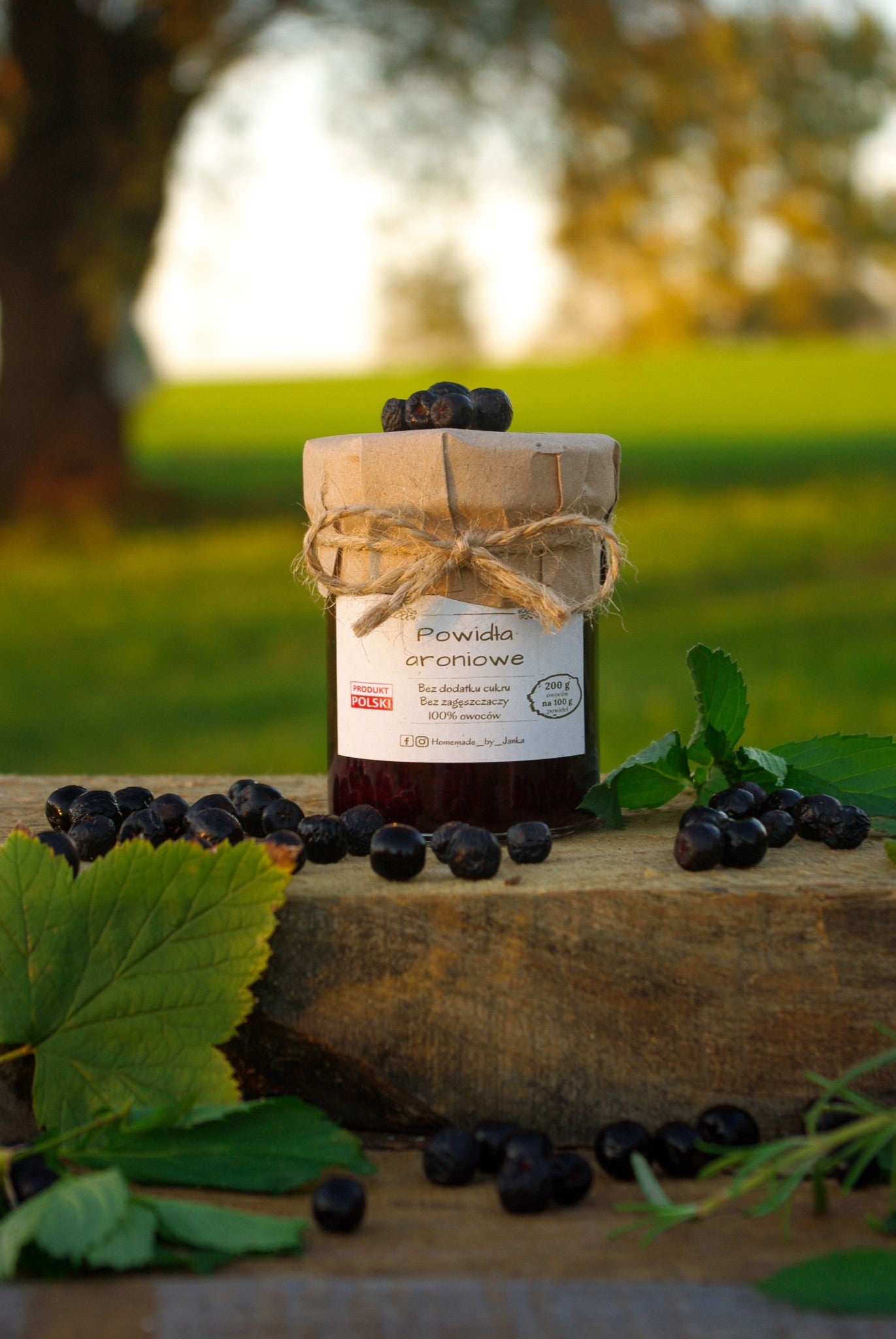HOMEMADE BY JANKA  Chokeberry Jam  | 220g