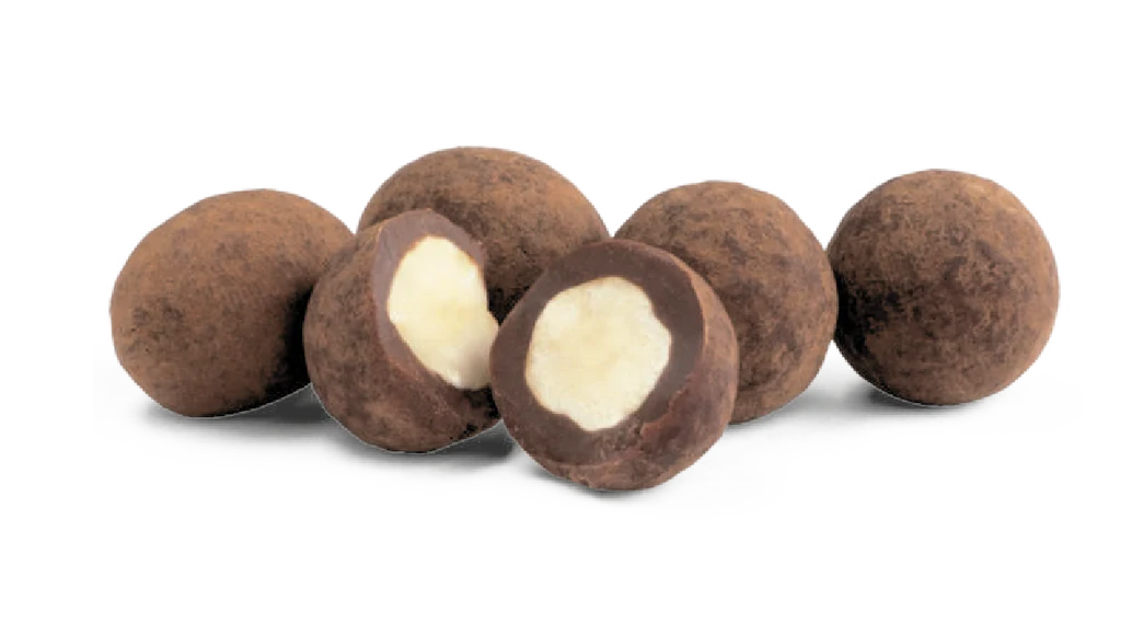 Raw Chocolate Company Dark Chocolate Ginger &  Salty Hazelnuts Gift Tube | 180g