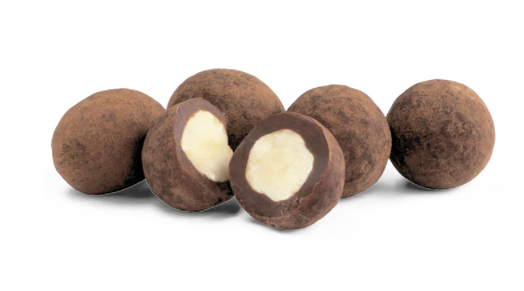 RAW CHOCOLATE COMPANY Dark Chocolate Ginger &  Salty Hazelnuts Gift Tube | 180g Best Before the end of September 2024