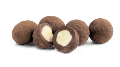RAW CHOCOLATE COMPANY Dark Chocolate Ginger &  Salty Hazelnuts Gift Tube | 180g Best Before the end of September 2024