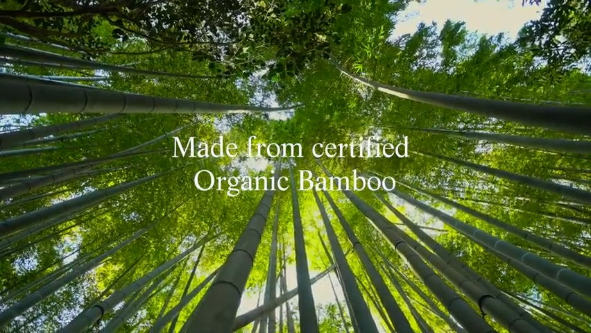 GRACE & GREEN Organic Bamboo Day Pads with Wings