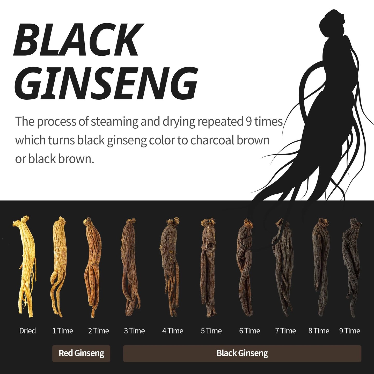 GINZAI  Hyaluronic Serum with Korean Premium Wild Forest Black Ginseng | 30 ml