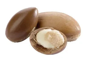 ARGANICARE Macadamia Serum for Dry and Damaged Hair | 100ml